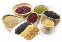 多功能不锈钢齿盘式粉碎机 树脂粉碎机